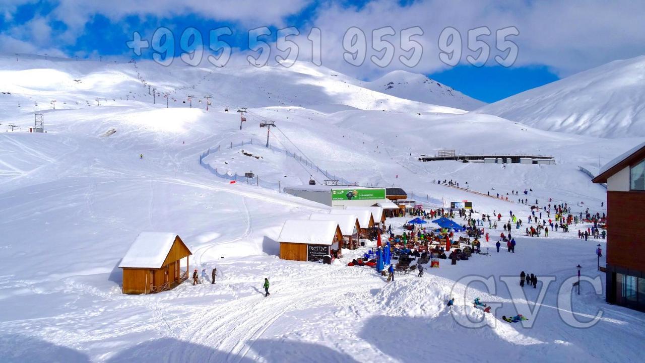 Gvc 321 New Gudauri Daire Dış mekan fotoğraf